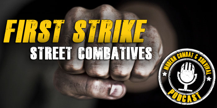 Street Fight Self Defense Training