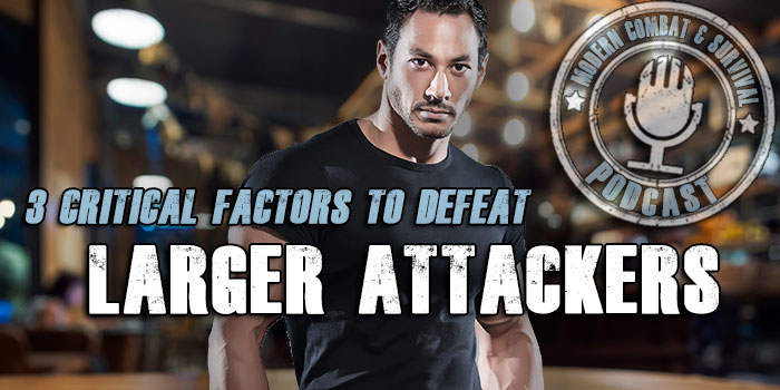 Self Defense Tips Against Larger Attackers