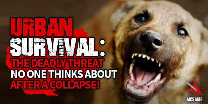Fighting A Wild Dog: The Deadly Urban Survival Threat of Feral Canines